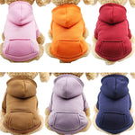 Cotton Dog Hoodie