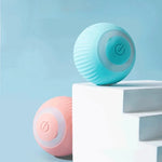 Magic Cat Ball Toy