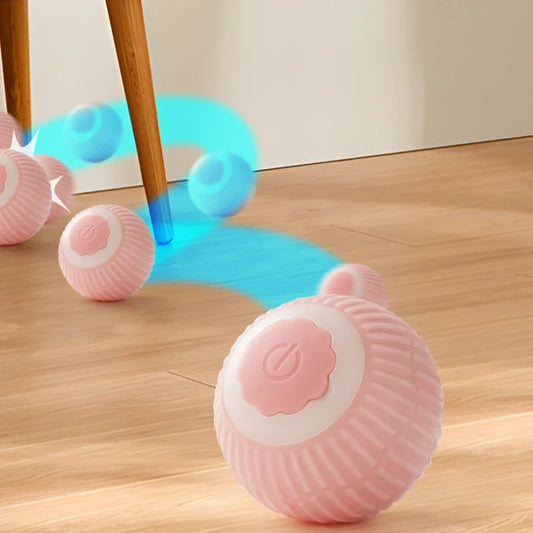 Magic Cat Ball Toy