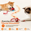 The Self-Rolling Smart Ball for Dogs