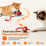 The Self-Rolling Smart Ball for Dogs