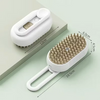 Cat Steam Spray Massage Brush