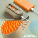 Cat Steam Spray Massage Brush