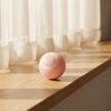 Magic Cat Ball Toy