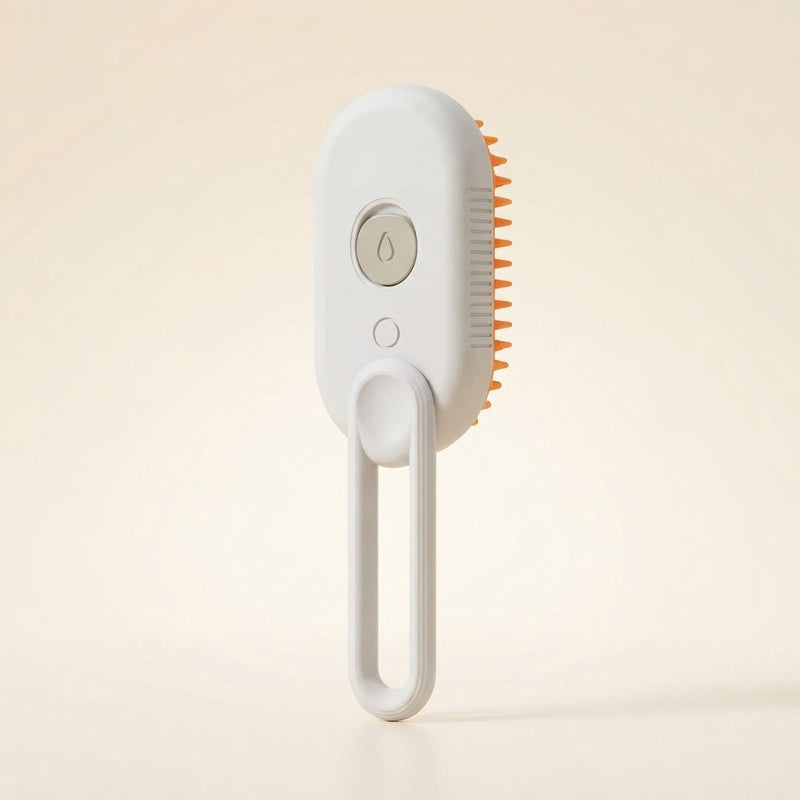 Cat Steam Spray Massage Brush